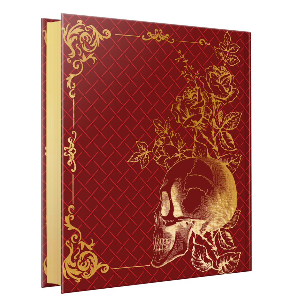 Once Upon a Time: A Unique Character Art Special Edition Hardback